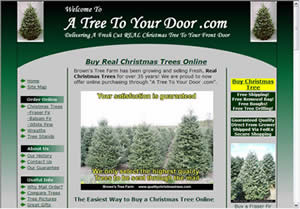 Web Site Dev Image